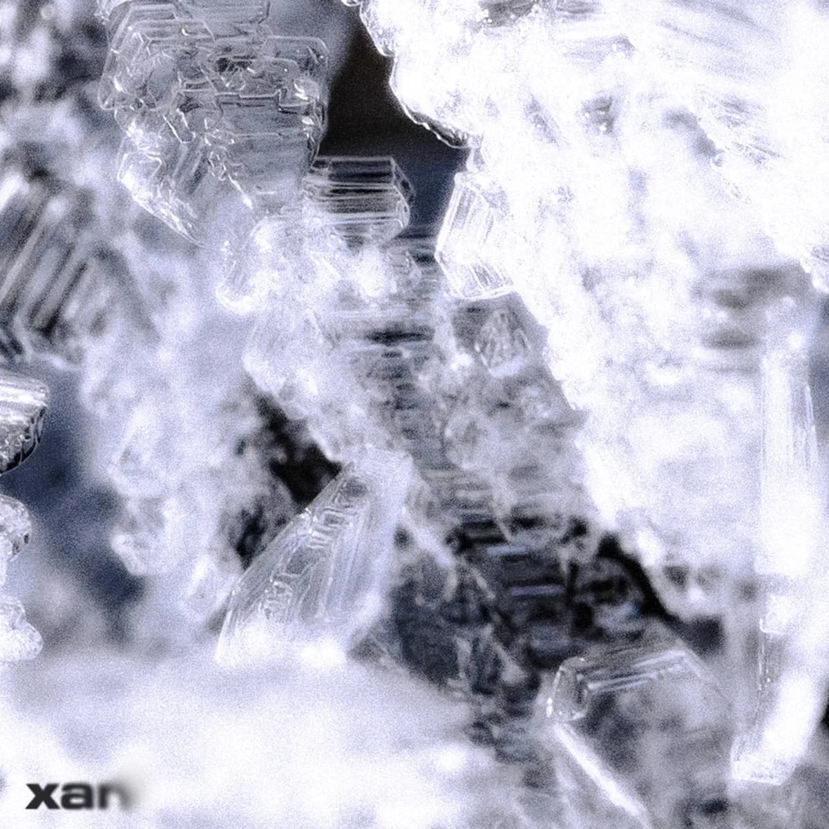 XAN - LIPNINE