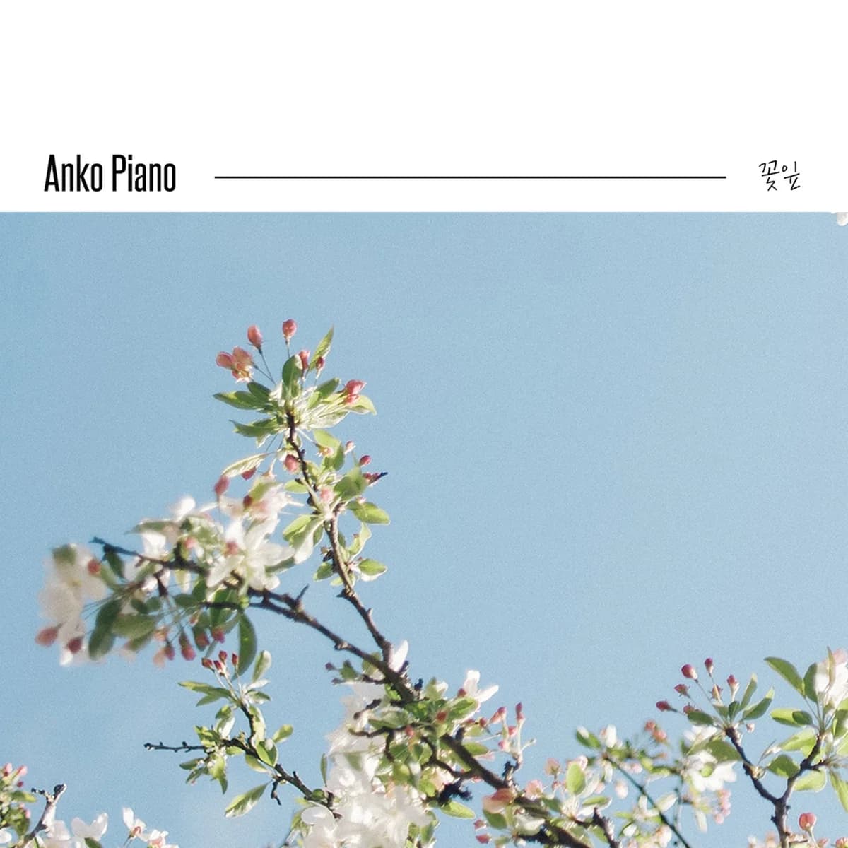 κ·κ°μμ€μΉλ - ANKO PIANO