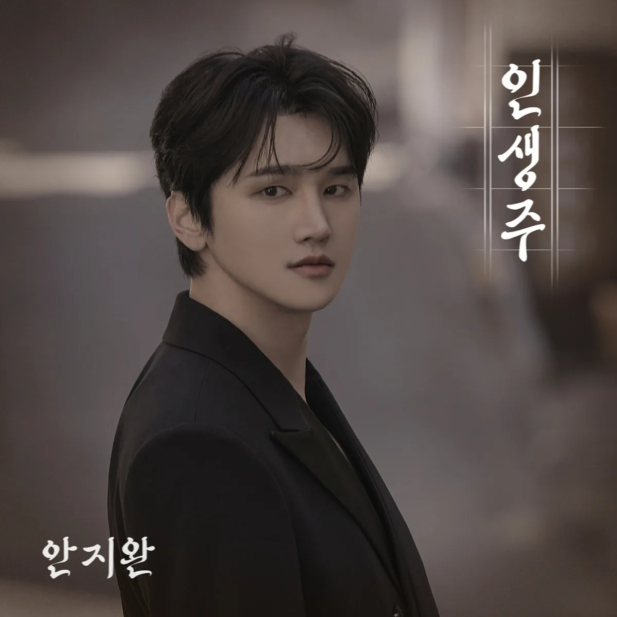 인생주 - JIWAN AHN,안지완