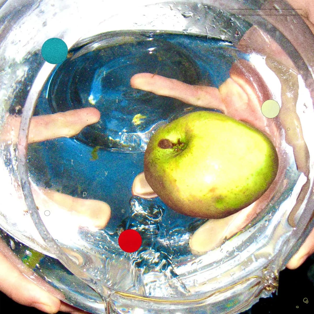 FISH TYPE - PICTUREMEGREEN