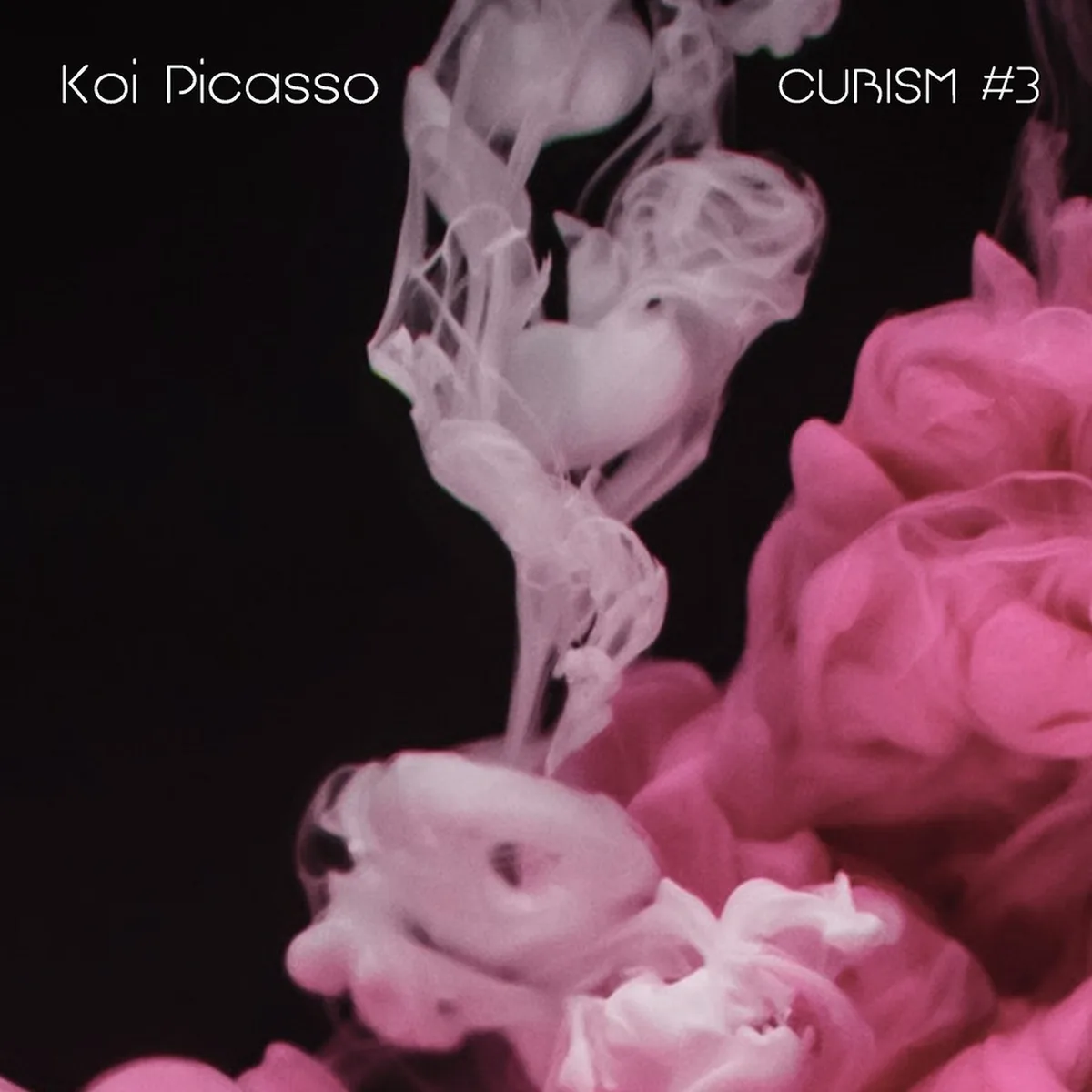 SLOWLY DOWN - KOI PICASSO