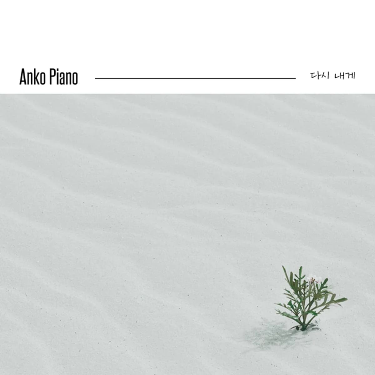 νμλΉ - ANKO PIANO