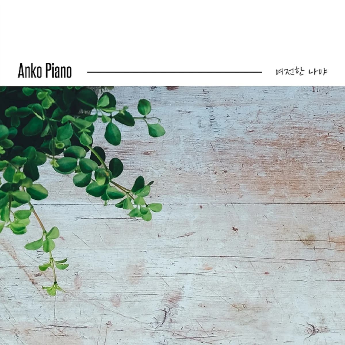 λ³λͺ
- ANKO PIANO