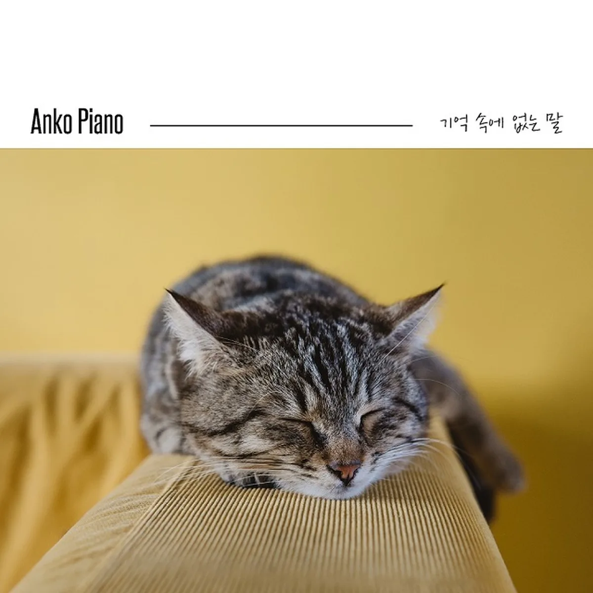 기억속에없는말 - ANKO PIANO