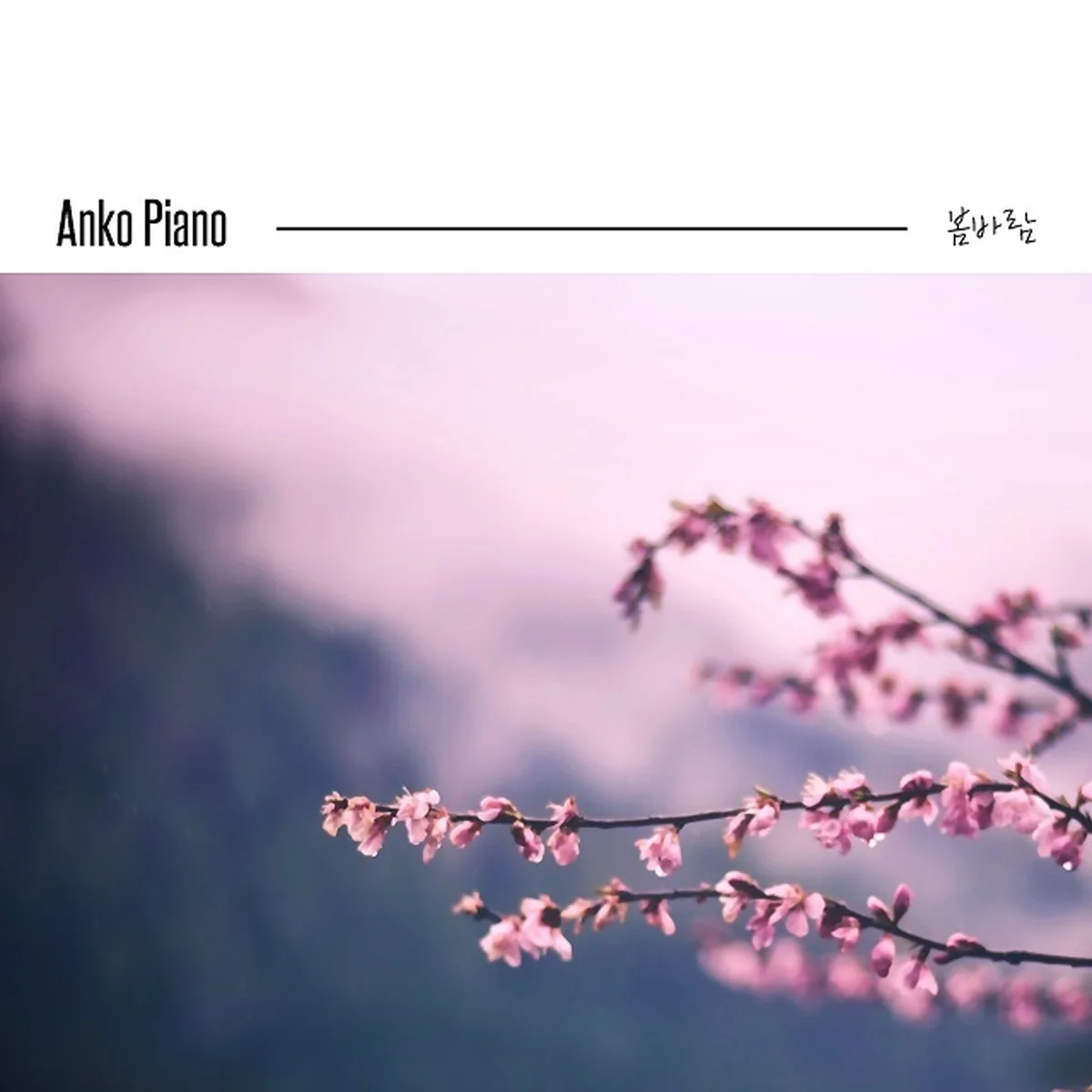 μμνκ²λΆμ΄μ€λ - ANKO PIANO