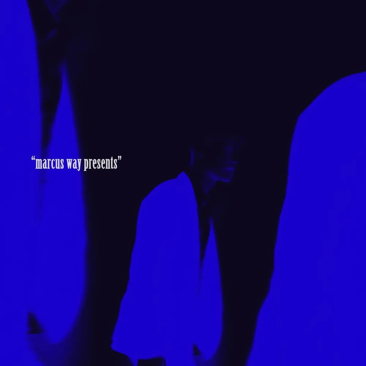 WHY YOU DON T LIKE - MARCUS WAY