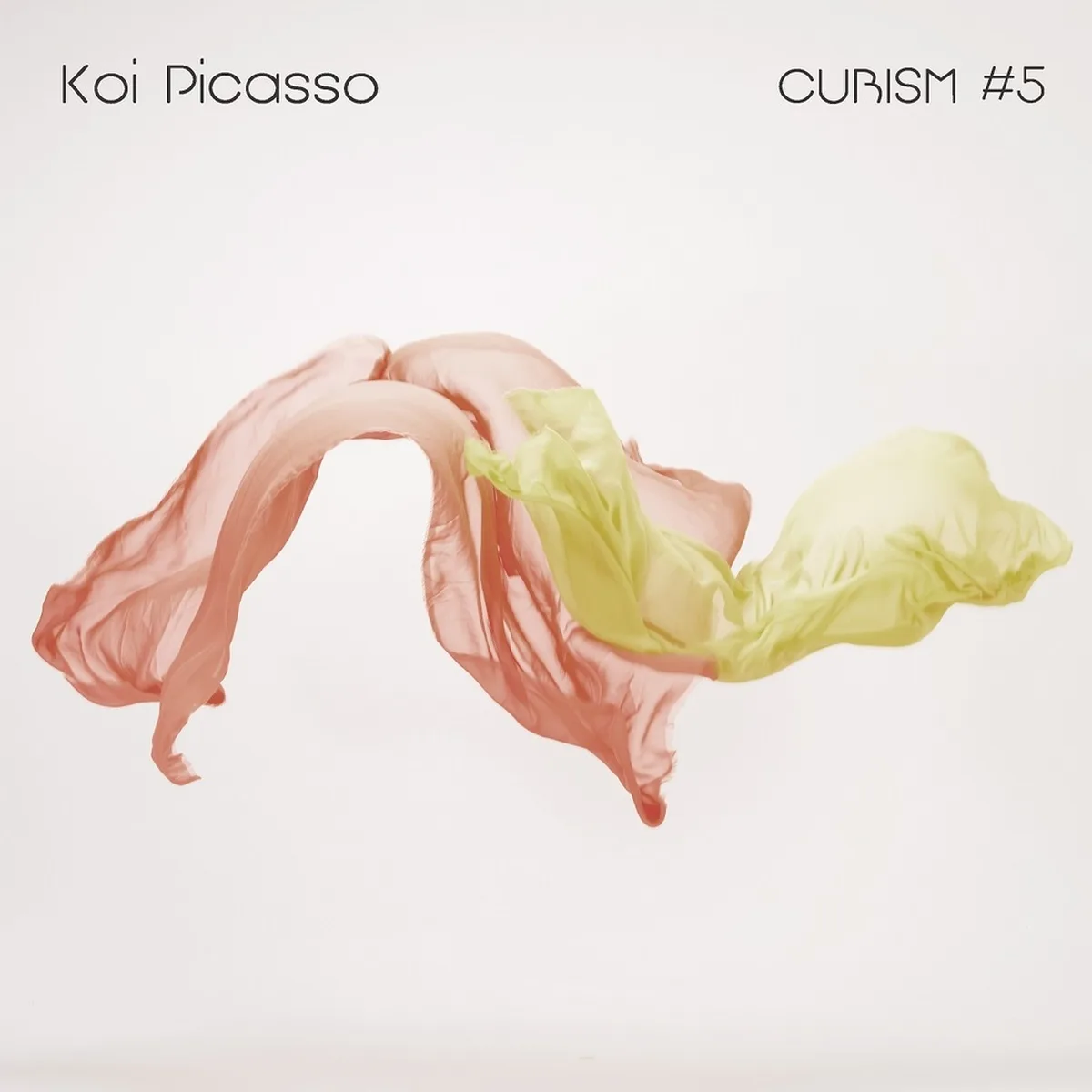THE WIND - KOI PICASSO