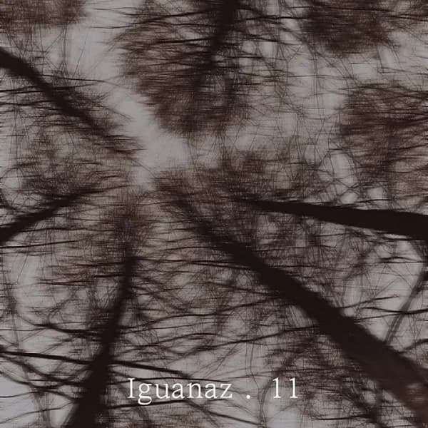 IGUANAZ 11(PIANO VER.) - NASTYONA