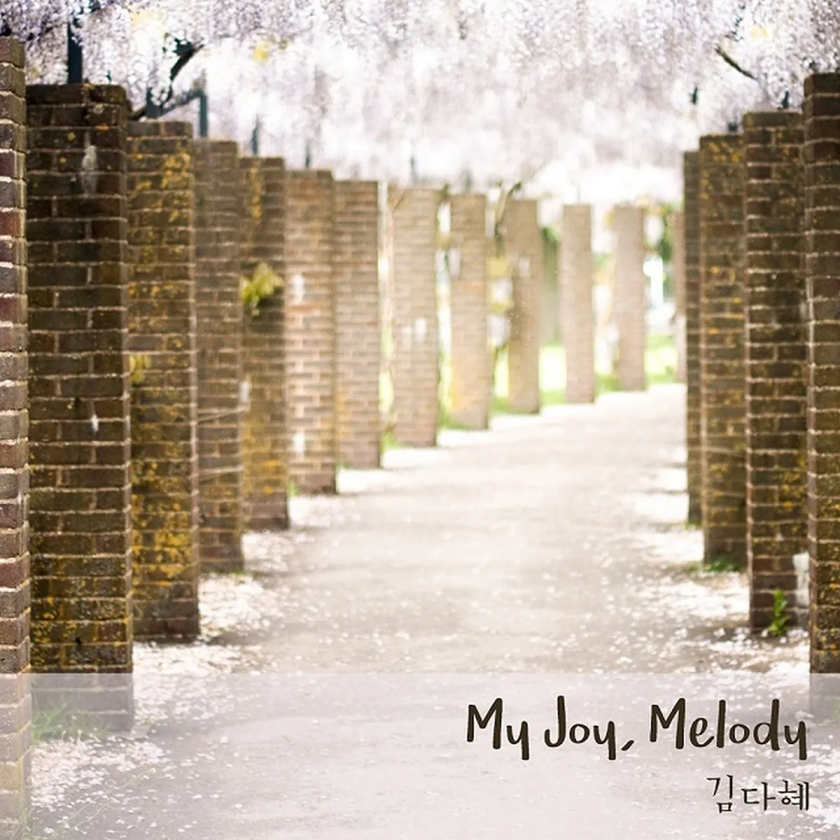 MY JOY MELODY - 김다혜