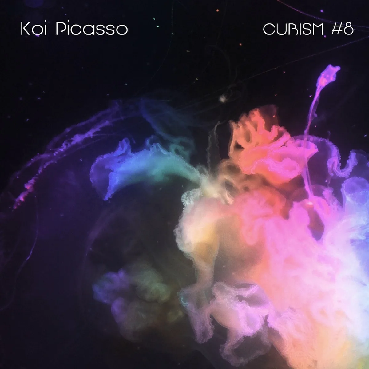 ANYONE CAN - KOI PICASSO,KOI PICASSO