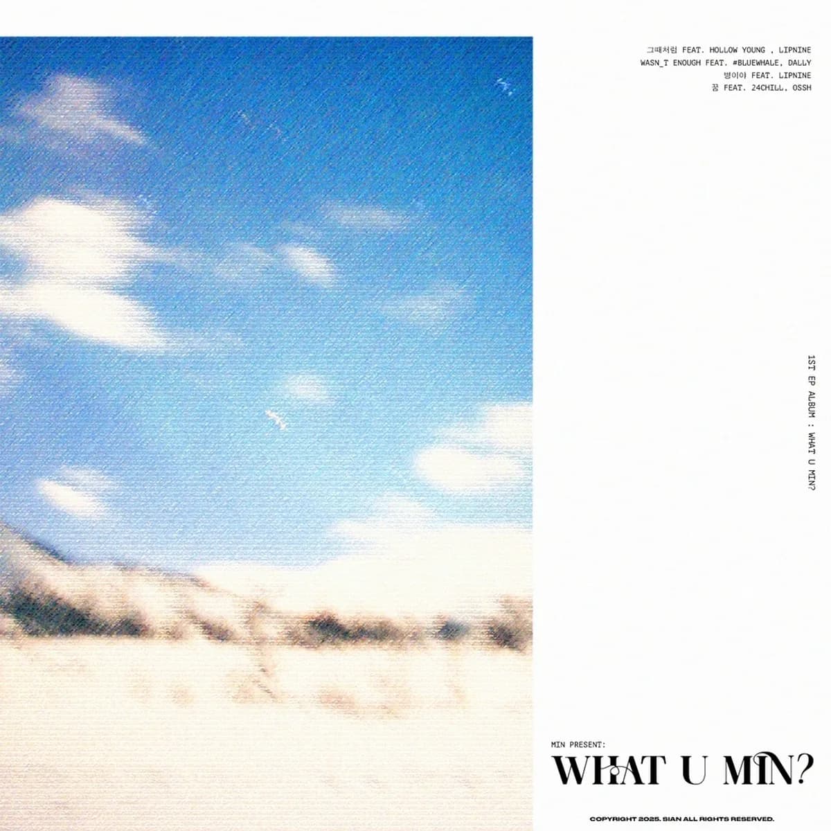 병이야(FEAT.LIPNINE) - MIN