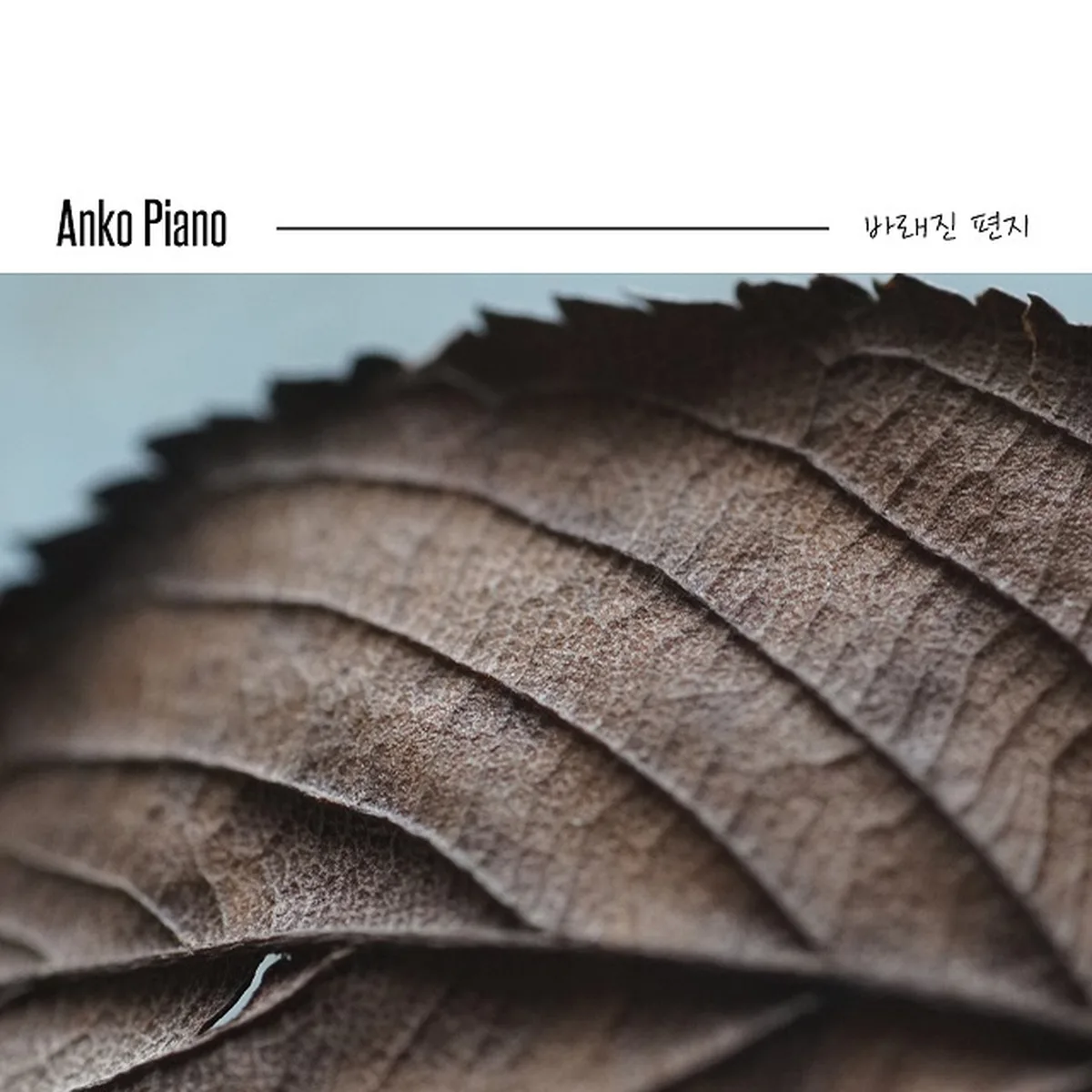 작은기억 - ANKO PIANO