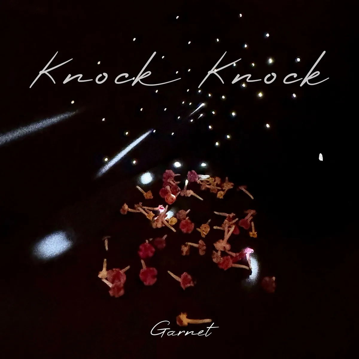 KNOCK KNOCK - κ°λ(GARNET),GARNET