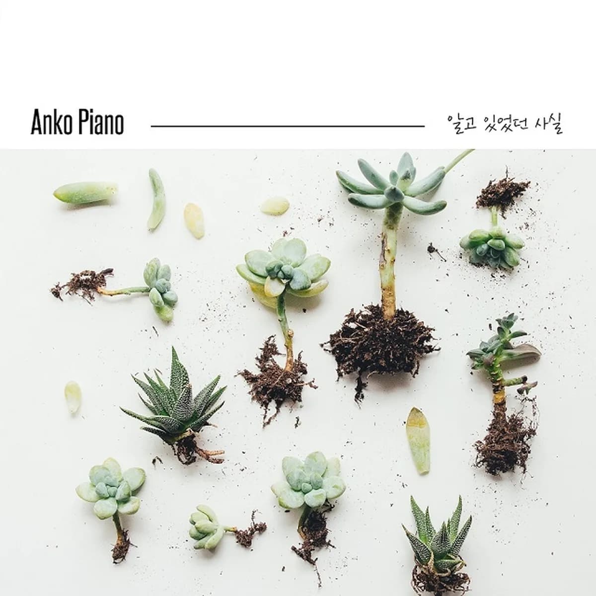알고있었던사실 - ANKO PIANO